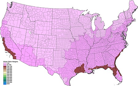 5pol05_PollenWinter.png 5pol05_PollenWinter.png